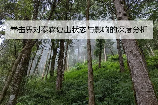 拳击界对泰森复出状态与影响的深度分析