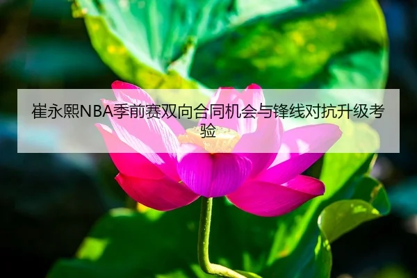 崔永熙NBA季前赛双向合同机会与锋线对抗升级考验