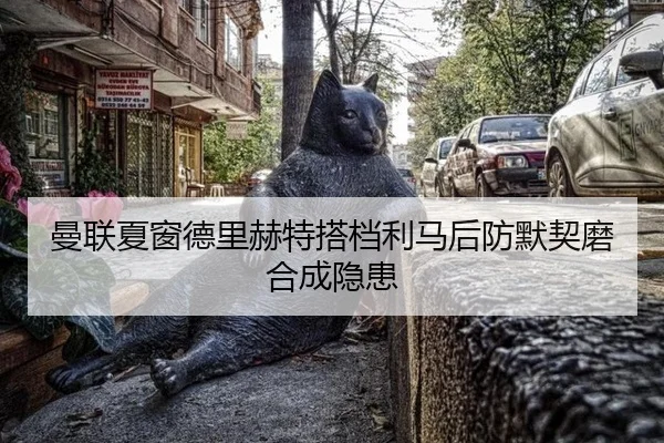 曼联夏窗德里赫特搭档利马后防默契磨合成隐患